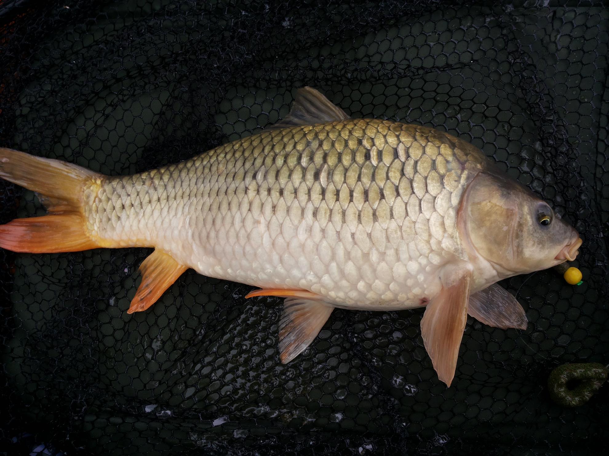 Pleasa 04-05-14 - 20140504093003.jpg